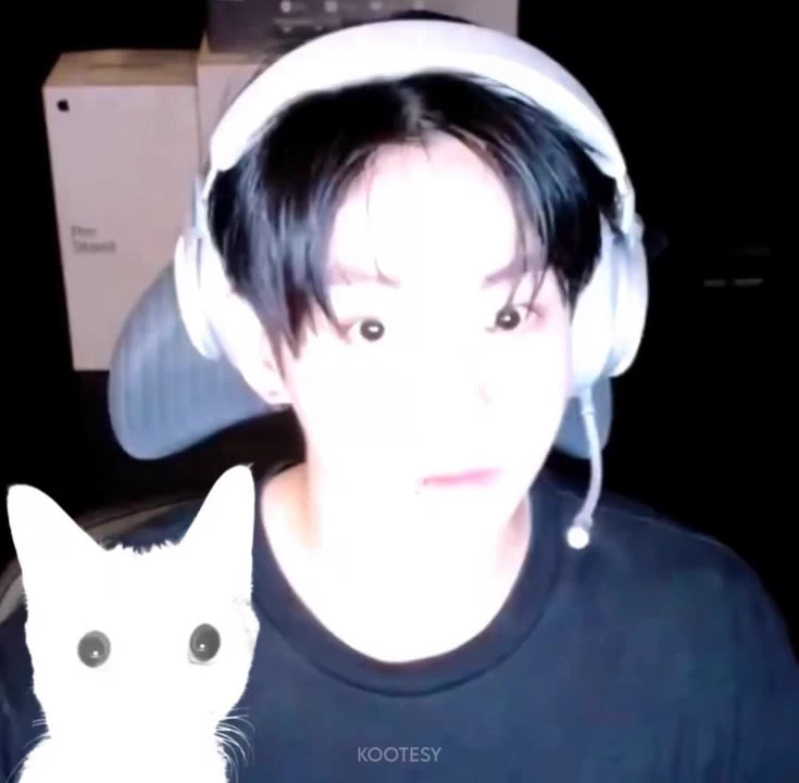 jungkook (dog) thumbnail