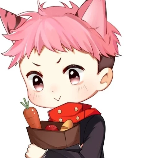 itadori yuji