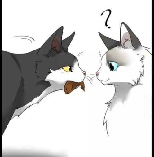 koko qnd whiskers. thumbnail
