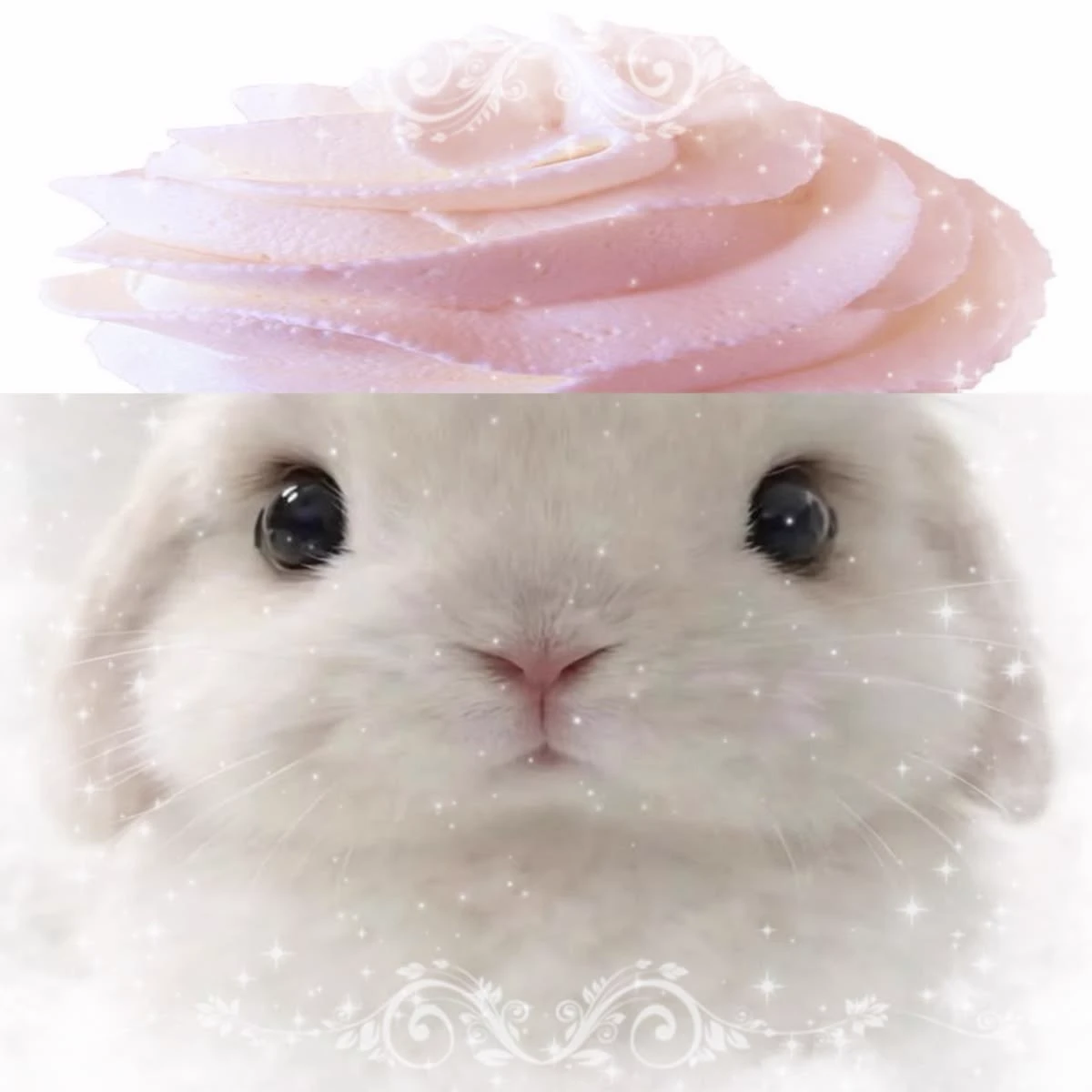 Schoo  thumbnail