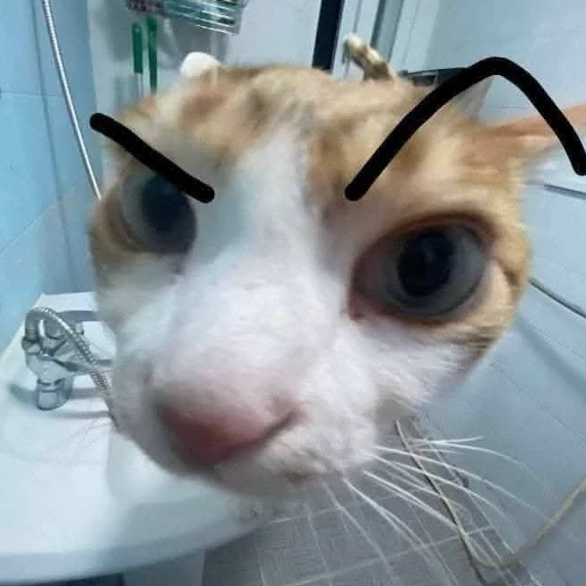 Miguel 