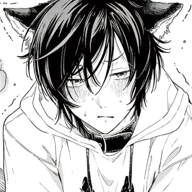 Your catboy👀 | Akito thumbnail