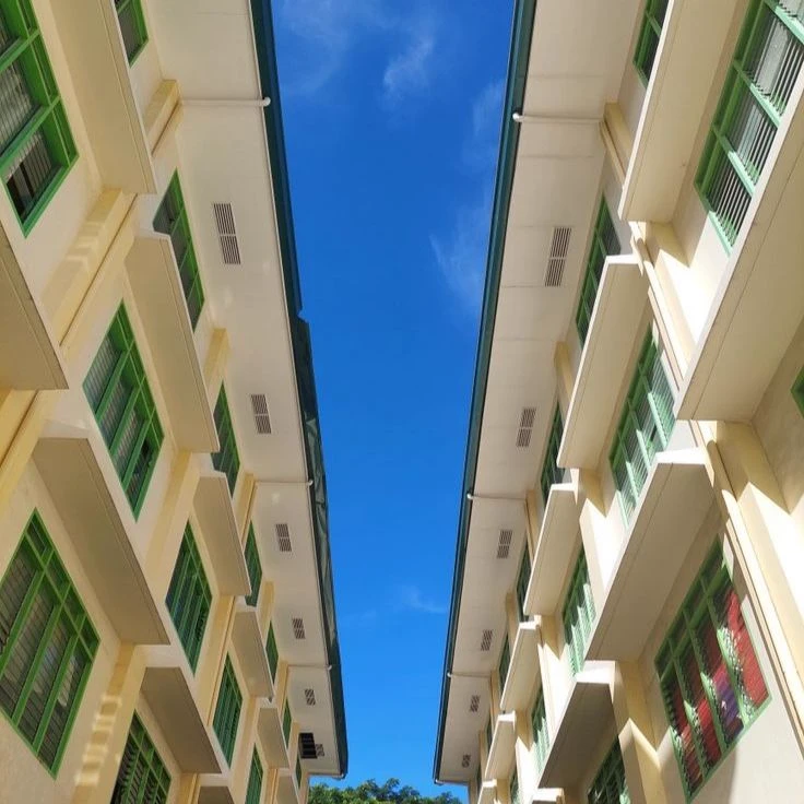 SCHOOL thumbnail