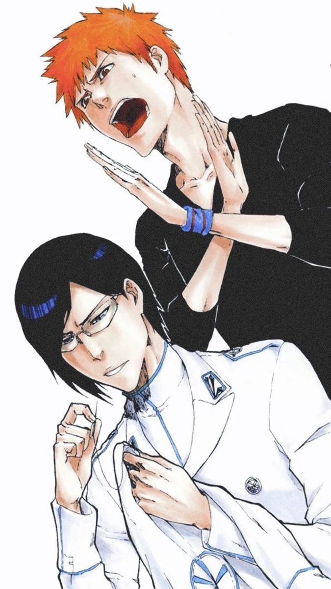 ichigo kurosaki and uryu ishida thumbnail