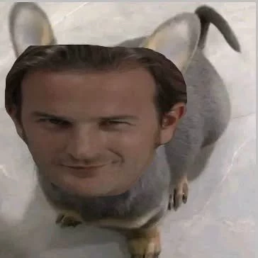 Luka 