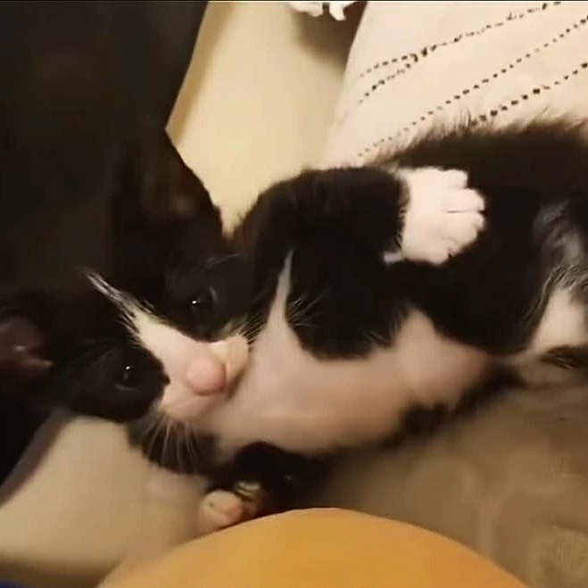 Yuki..!