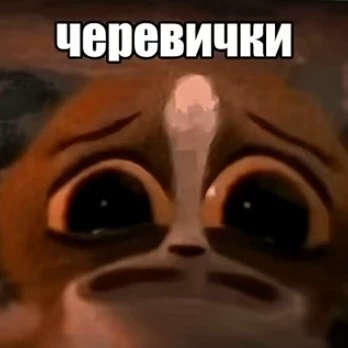 𓆩  𓁿  𓆪