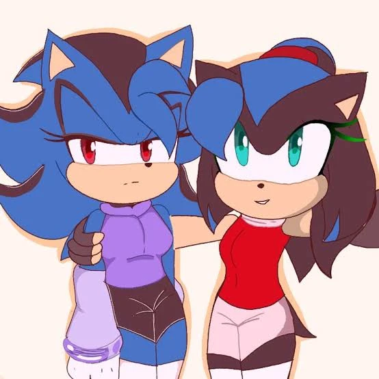 Sasha the Hedgehog and María the Hedgehog thumbnail