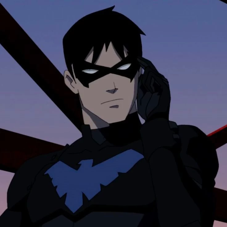 Nightwing's Night Wing thumbnail