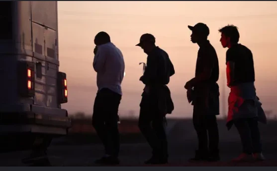 Illegal immigrant thumbnail
