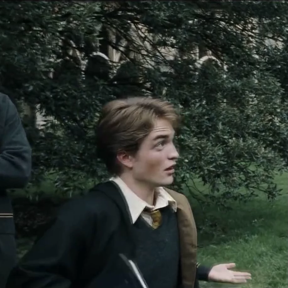 Cedric Diggory thumbnail