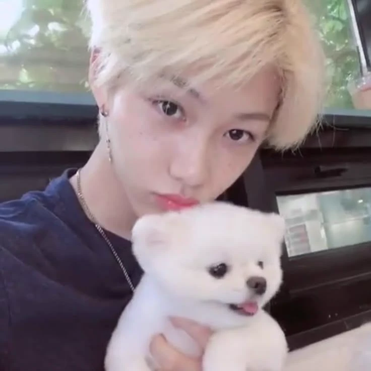 Felix thumbnail