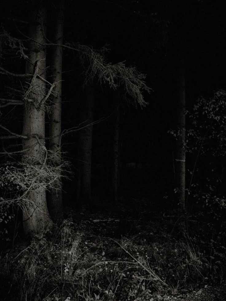 forest thumbnail