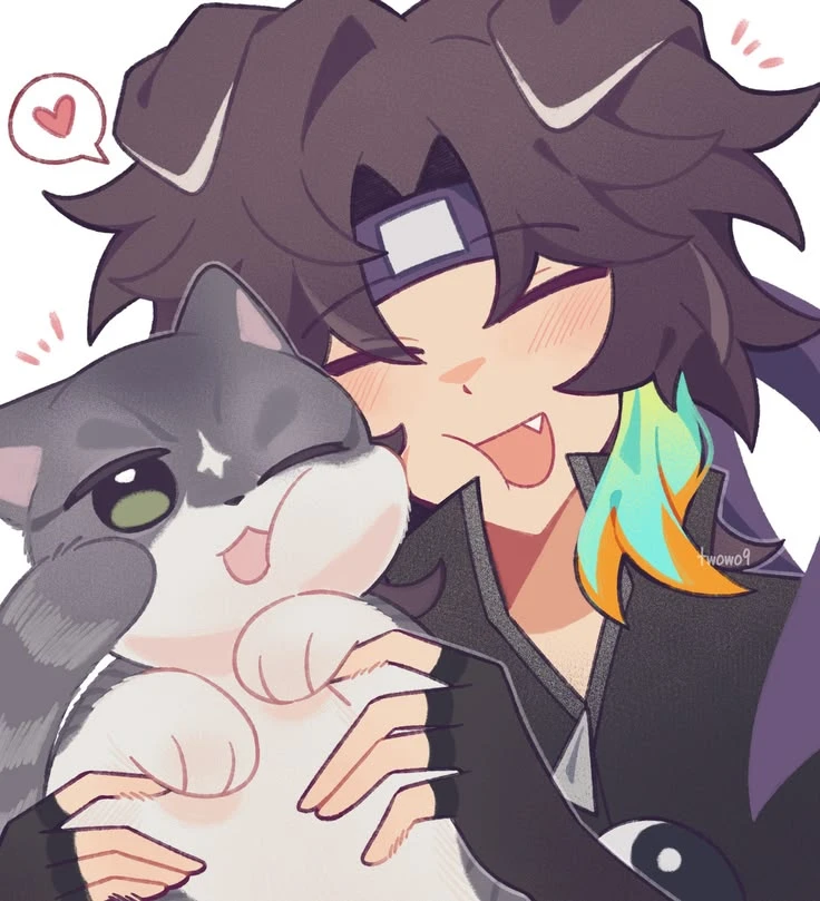 WIFIES thumbnail