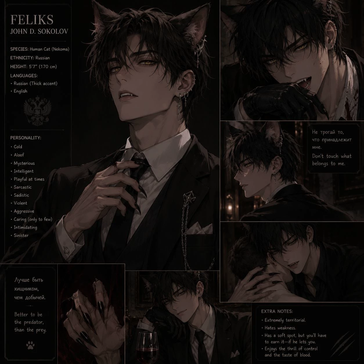Felix John D. Sokolov thumbnail