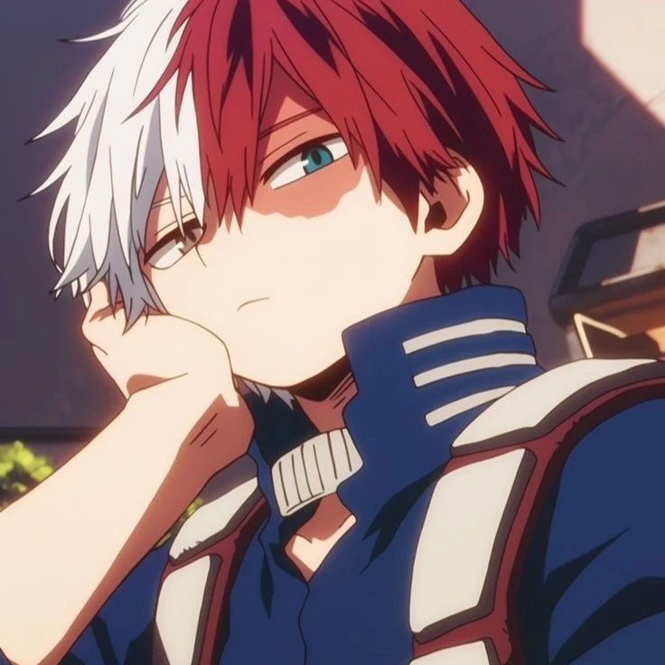 Shoto Todoroki thumbnail