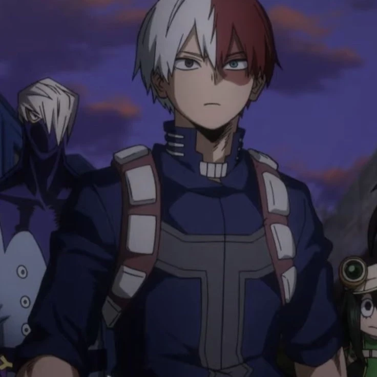 Shoto Todoroki thumbnail