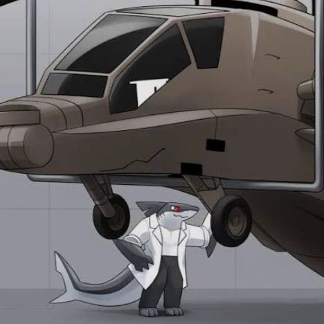 Arsa Aircraft thumbnail