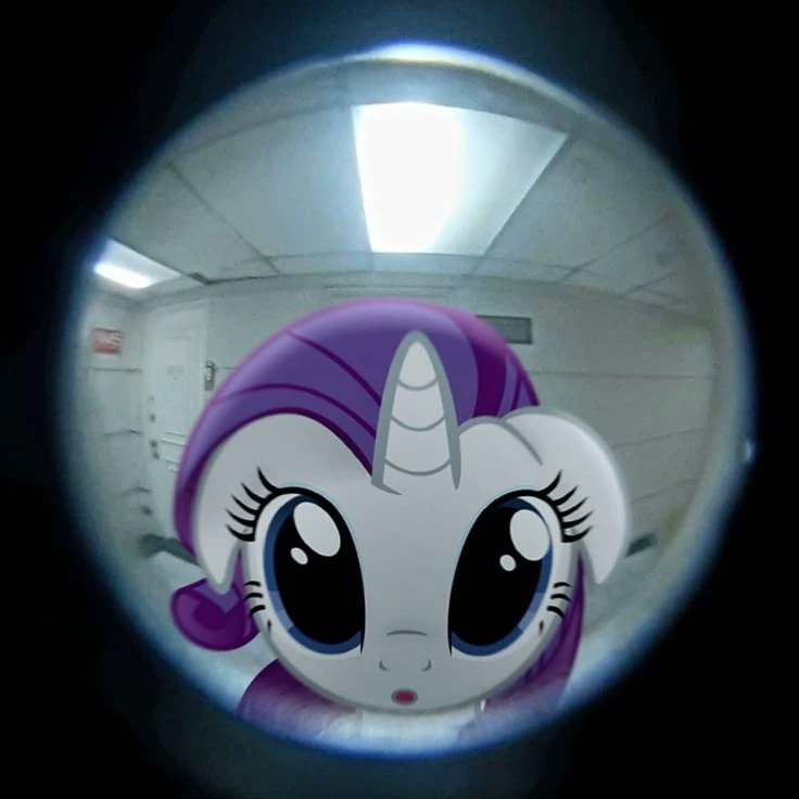 Luci