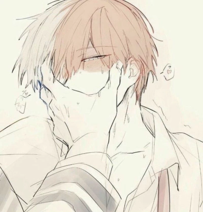 Shoto Todoroki thumbnail