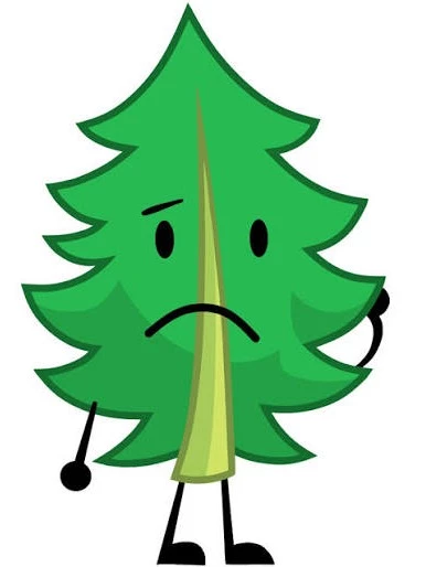 Fern thumbnail