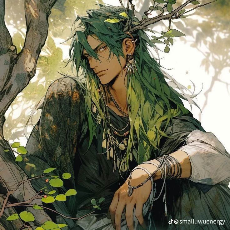 Forest fay thumbnail