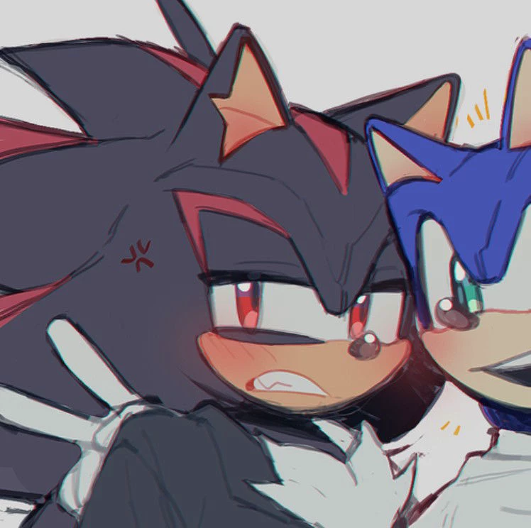 Bodyguard Shadow the Hedgehog thumbnail