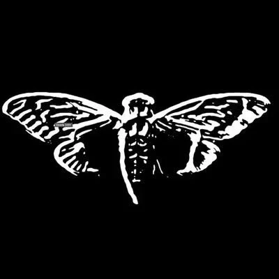 Cicada 3301 - 2024 thumbnail
