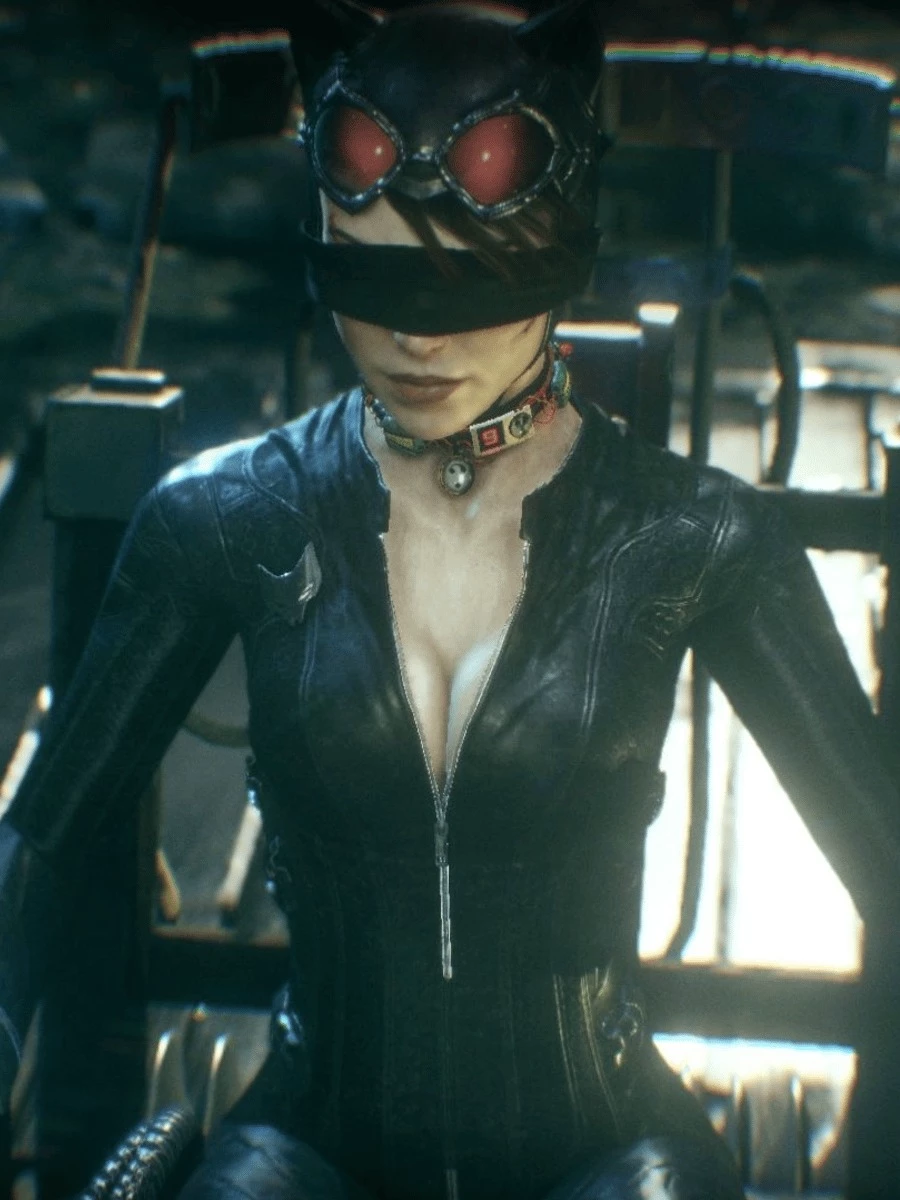 Bound catwoman thumbnail