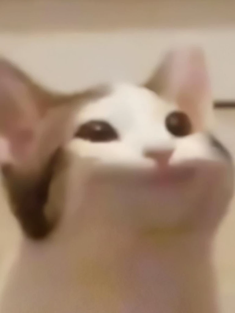 Catgirls thumbnail