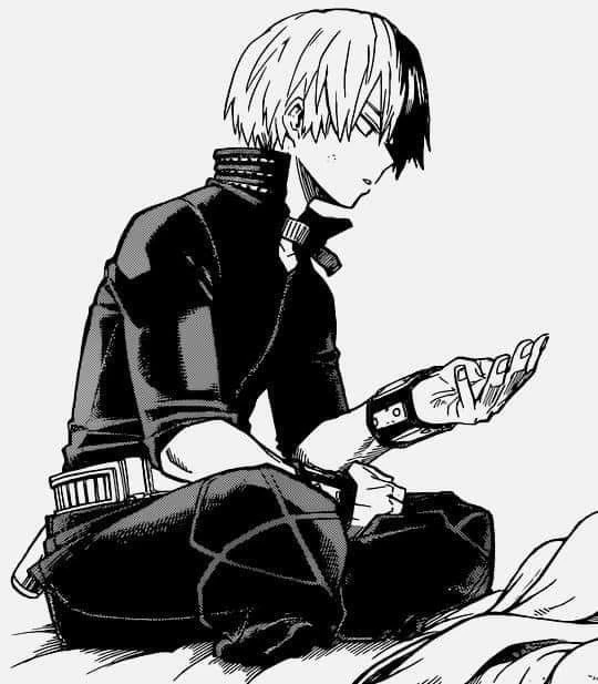 Shoto Todoroki thumbnail