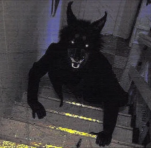 A werewolf standing on your stairs thumbnail