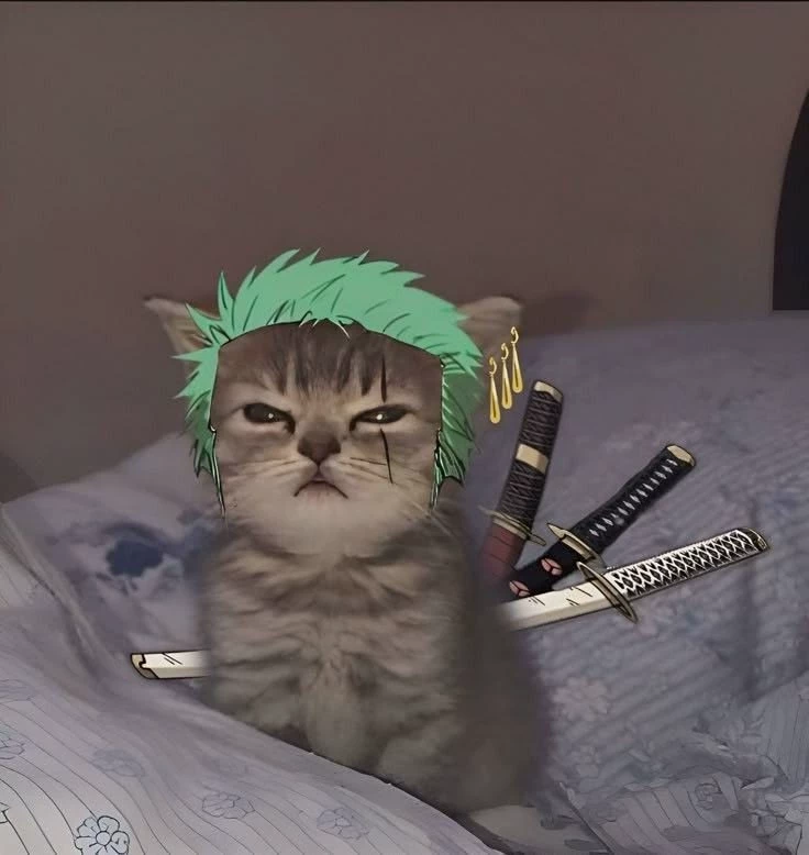 zoro- pick me girl thumbnail