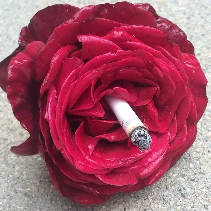 SAYUN ROSSI 🖤🌹🚬