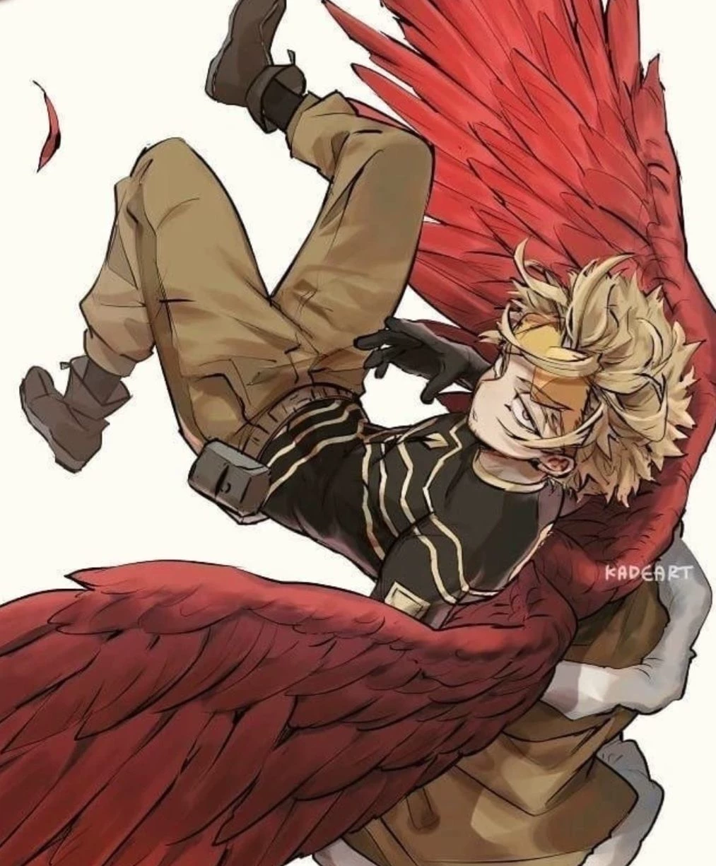 Number two hero - hawks thumbnail