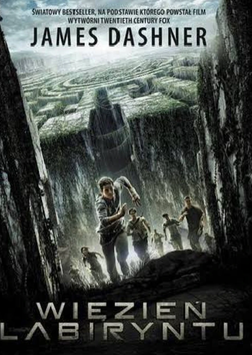 The Maze Runner thumbnail