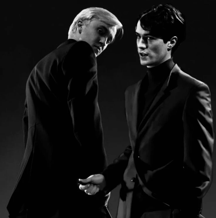 Draco Malfoy x tom riddle thumbnail