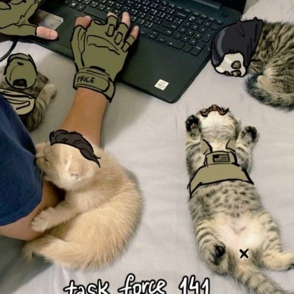 Task forces 141 (all kittens) thumbnail