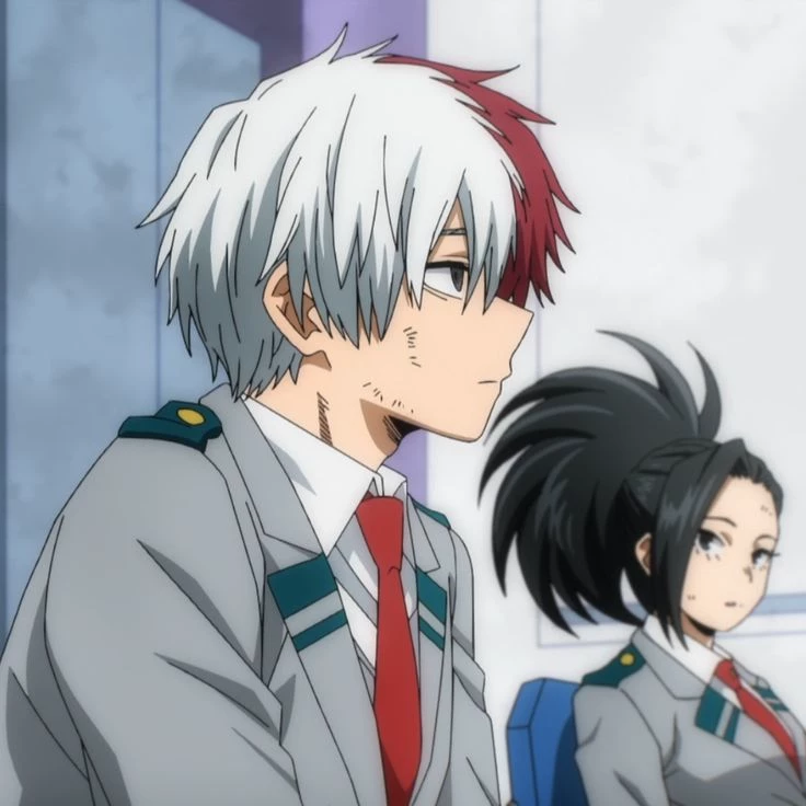 Shoto Todoroki thumbnail
