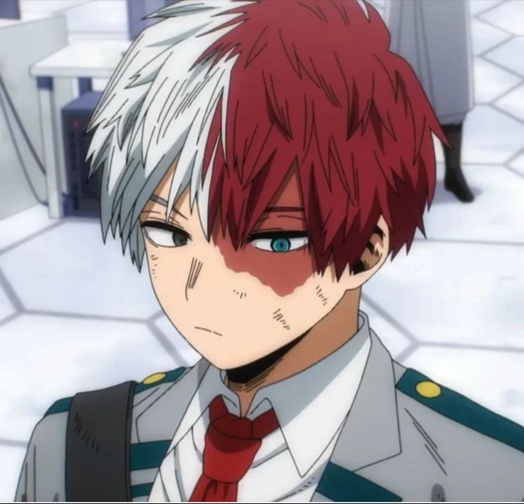 Shoto Todoroki thumbnail
