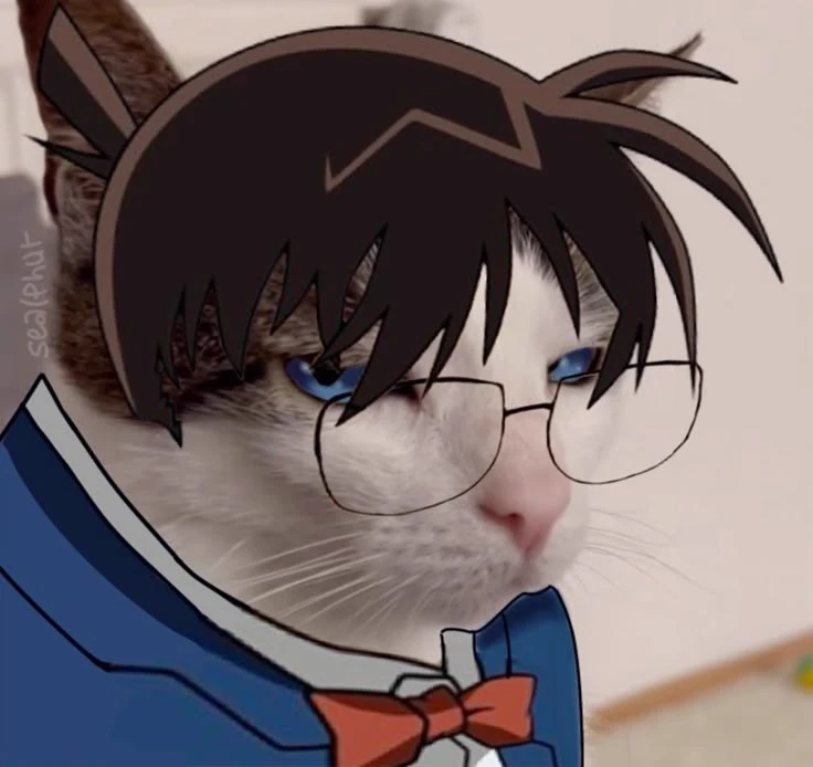 Shinichi Kudo / Conan Edogawa thumbnail