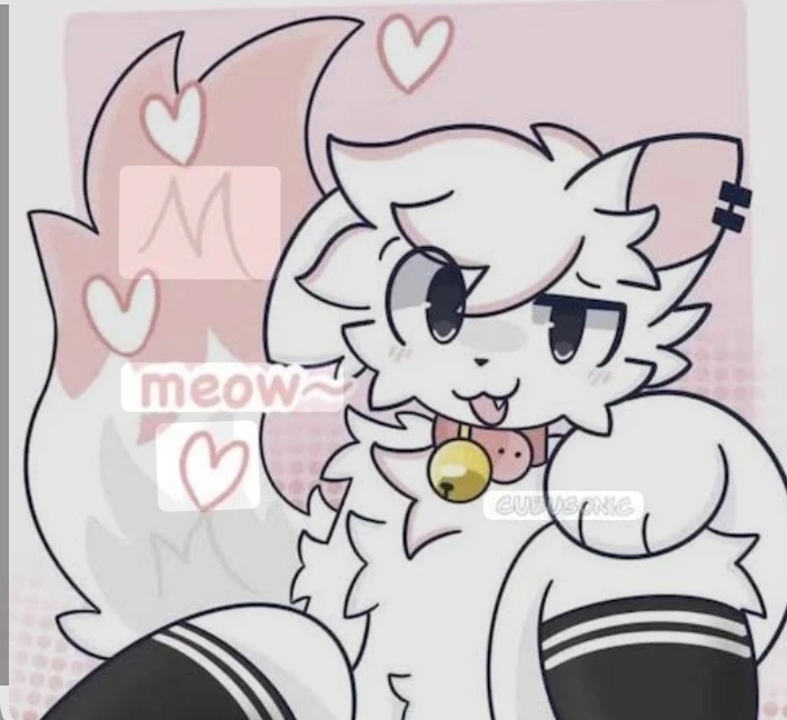 Tofi thumbnail