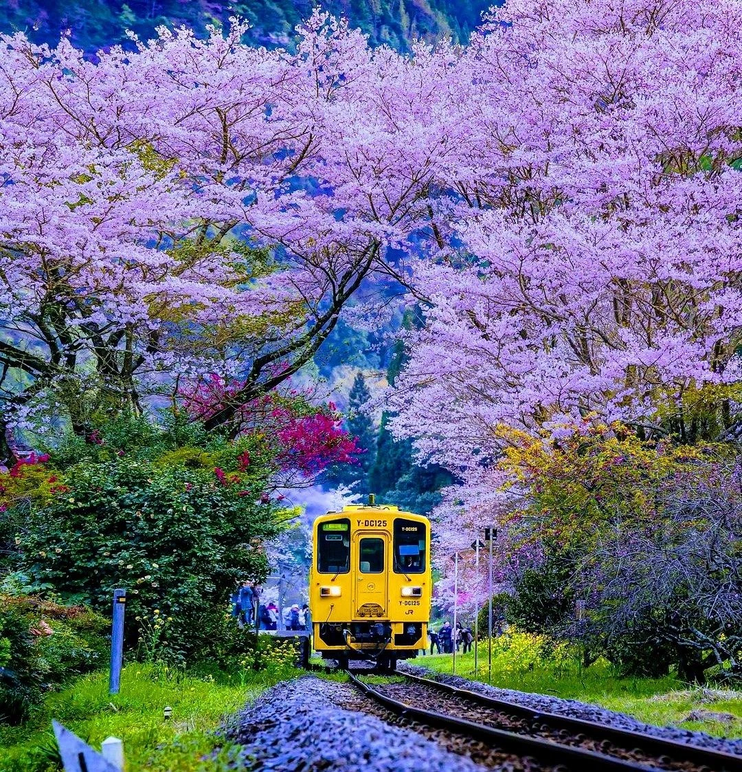 Train driver in Japan thumbnail