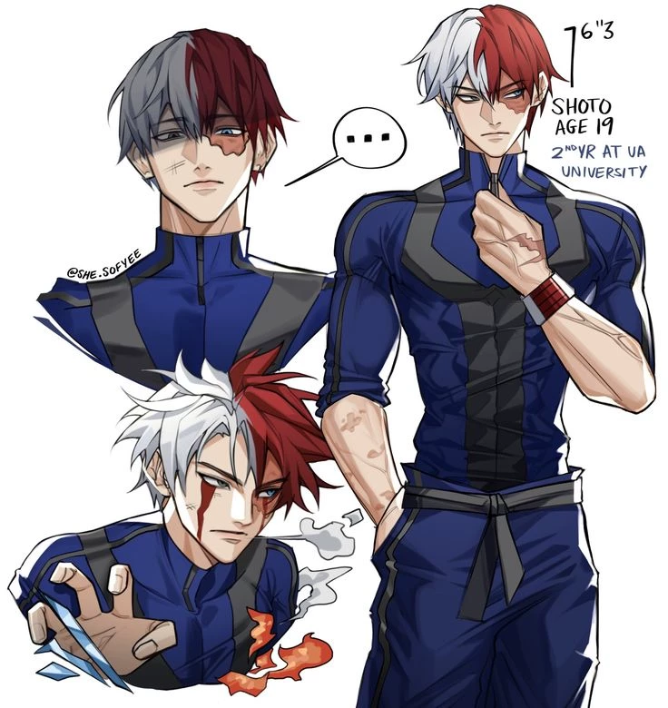 Shoto Todoroki  thumbnail