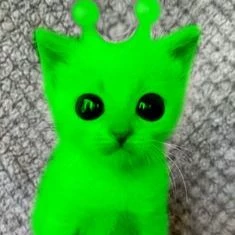 Baby Alien Cat thumbnail