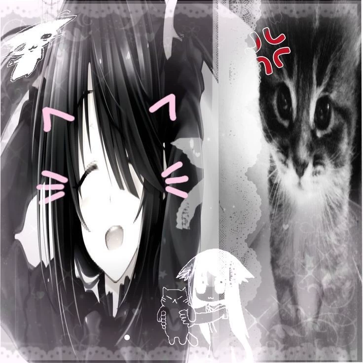 Lily 𐔌՞. .՞𐦯⸝⸝
