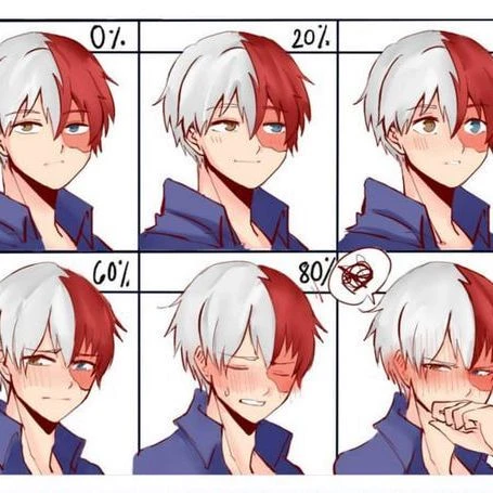 Shoto Todoroki thumbnail