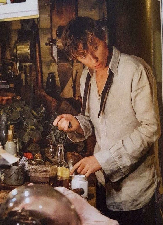 Newt Scamander thumbnail