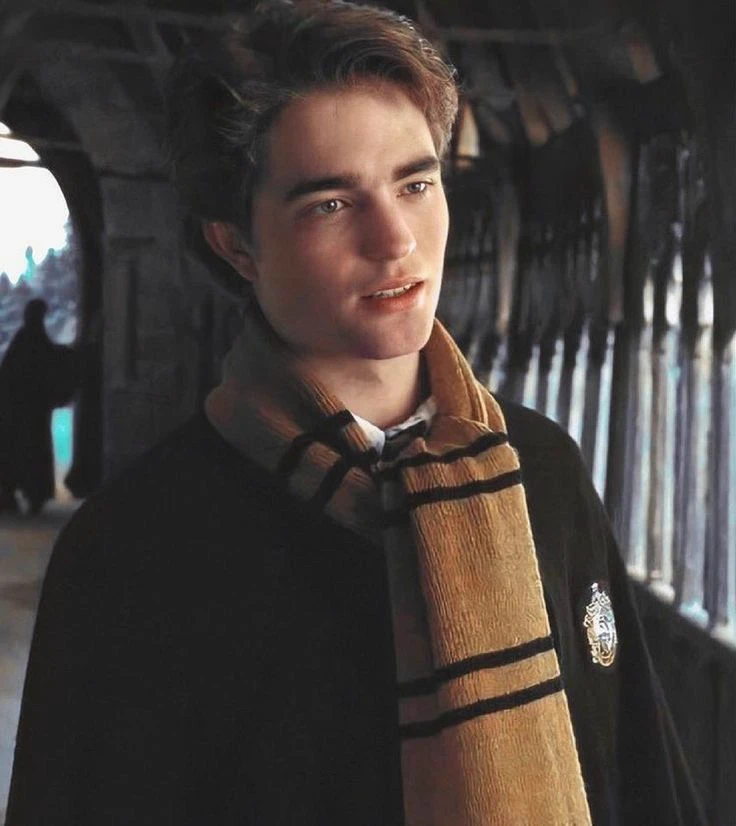 🌼 Cedric Diggory 🍁 thumbnail