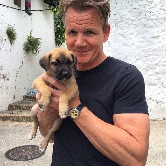 Gordon Ramsay thumbnail